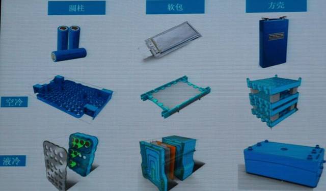 郭文标：一双满是皲裂的手守护生命和大海